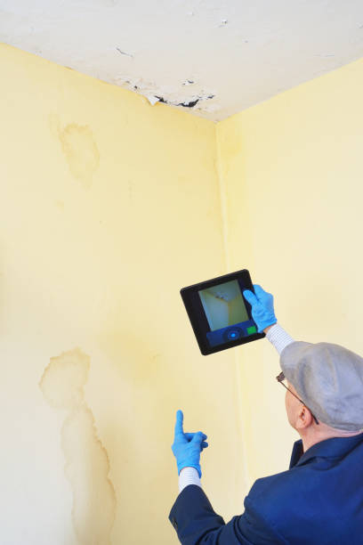 Water leak detection Perth